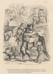 Ecco cosa è appena uscito. Gatto e uccello che vendono il presente libro per sei soldi. Vignette illustrate da JJ Granville. Incisione firmata Andrew, Best e Leloir nel prologo intitolato "Résumé parlementaire" scritto da PJ Stahl in "Scenes de la vie