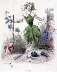 Donna, allegoria della vite - disegno di Grandville