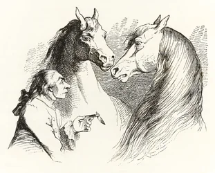 Gulliver conversa con cavalli parlanti nella terra degli Houyhnhnm da I viaggi di Gulliver di Jonathan Swift