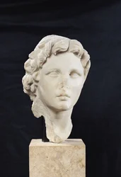 Testa di Alessandro Magno (356-323 a.C.) (marmo)