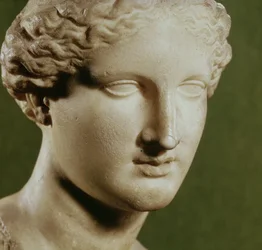 Testa di Artemide