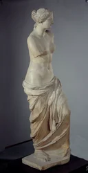 Immagine sconosciuta