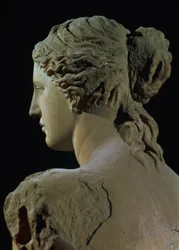 Venere di Milo, dettaglio del retro della testa, periodo ellenistico, c.100 a.C. (dettaglio)