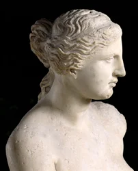 Venere di Milo, dettaglio della testa