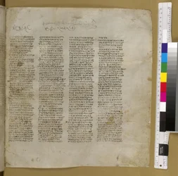 Codice Sinaitico (pergamena)