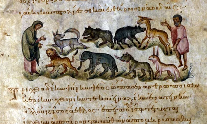 Gioco: gli animali che puoi cacciare - in 