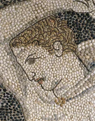 Testa di Krateros (dettaglio)