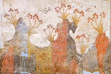 Stanza dei gigli o primavera, affresco di Akrotiri, Thera (oggi Santorini), Grecia, Civiltà Minoica