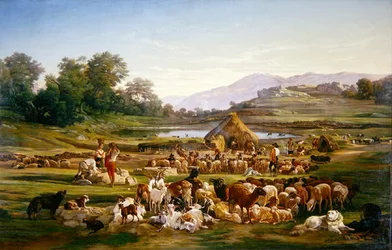 Pastori con pecore