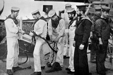 Marinai al lavoro che giuntano una corda a bordo della corazzata HMS Majestic, 1896