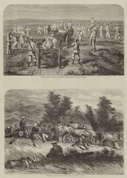 La Guerra in Crimea
