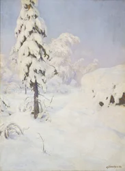 Inverno nella foresta