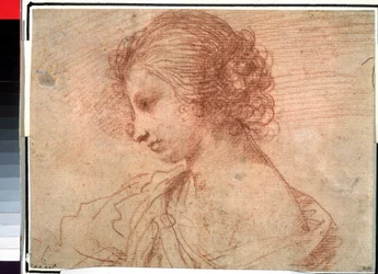 Ritratto di giovane ragazza. (Ritratto di seno di una giovane donna)