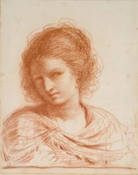 Testa di una Giovane Donna