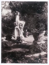 Fotografo (foto)