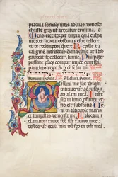 Salterio del coro e innario