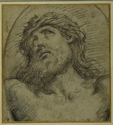 Testa e spalle del Cristo vivente crocifisso