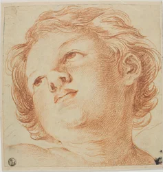 Testa di putto