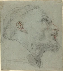 Testa di San Francesco