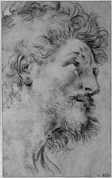 Testa di San Crispino