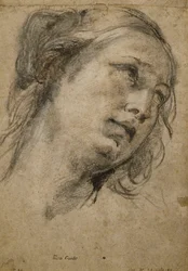 Testa di una donna che guarda in alto a destra