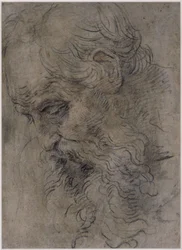 Testa di san Paolo eremita