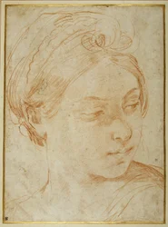 Testa di giovane donna, girata a guardare sopra la spalla sinistra