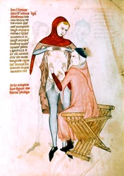 Medico che visita il paziente (miniatura)
