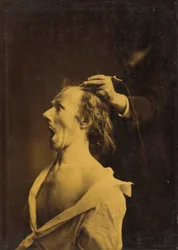 Stupore, stupore, meraviglia,1854-1856, stampato nel 1862 (foto)