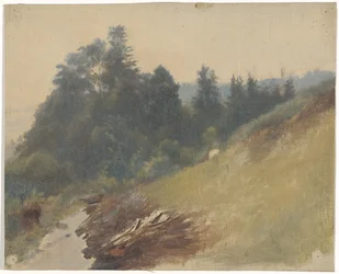 Pendio di montagna con pini
