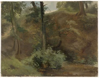 Alberi in un paesaggio dunale
