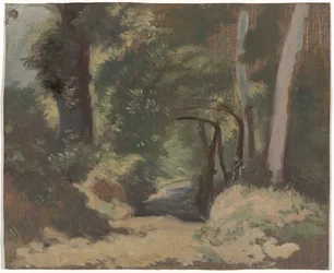 Strada nel bosco
