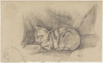 Gatto sdraiato a sinistra