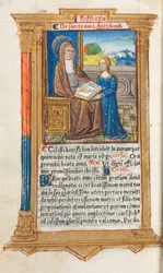 Libro delle Ore stampato (Uso di Roma): fol. 108v, Sant