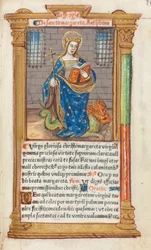 Libro d