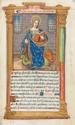 Libro d