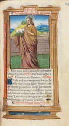 Libro delle Ore stampato (Uso di Roma): fol. 98r, San Giovanni Battista