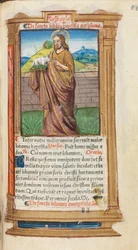 Libro d
