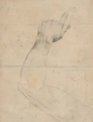 Studio di un braccio (verso)