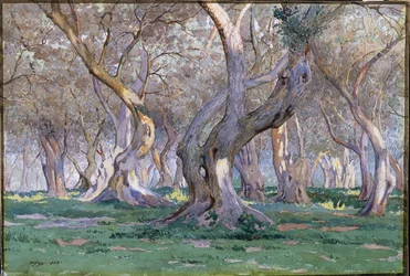 Boschetto di querce