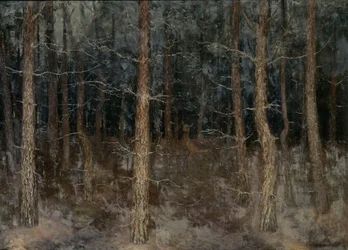 Sentieri mistici, Vista sulla foresta