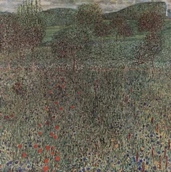 Campo in fiore