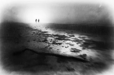 Passeggiata invernale nella nebbia