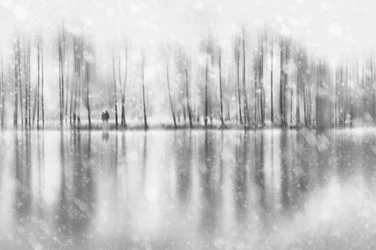 Riflessione di coppia invernale