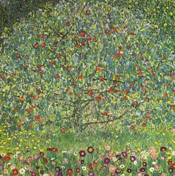 Albero di mele I