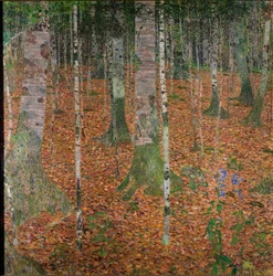 Foresta di betulle