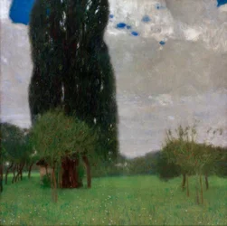 Il grande pioppo I