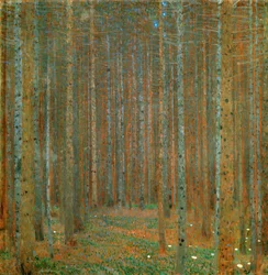 Foresta di abeti I