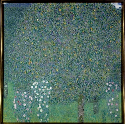 Roseti sotto gli alberi