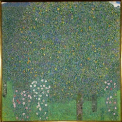 Rose sotto gli alberi